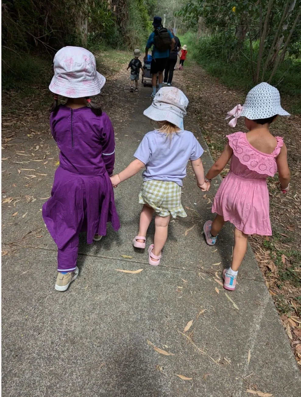 Three children holding hands as they walk the bush track, seen from behind
