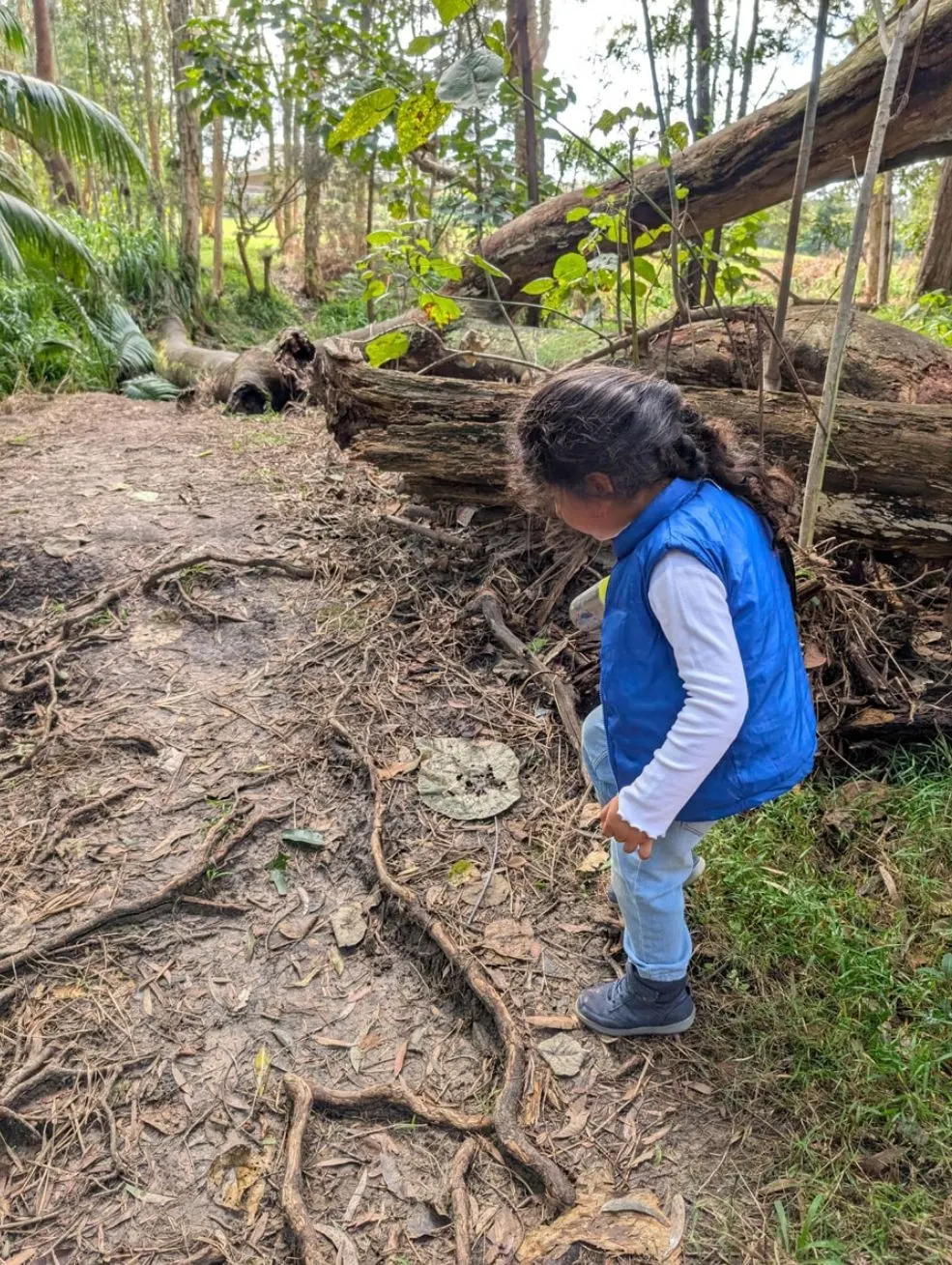 A child looking at the roots of a fallen log