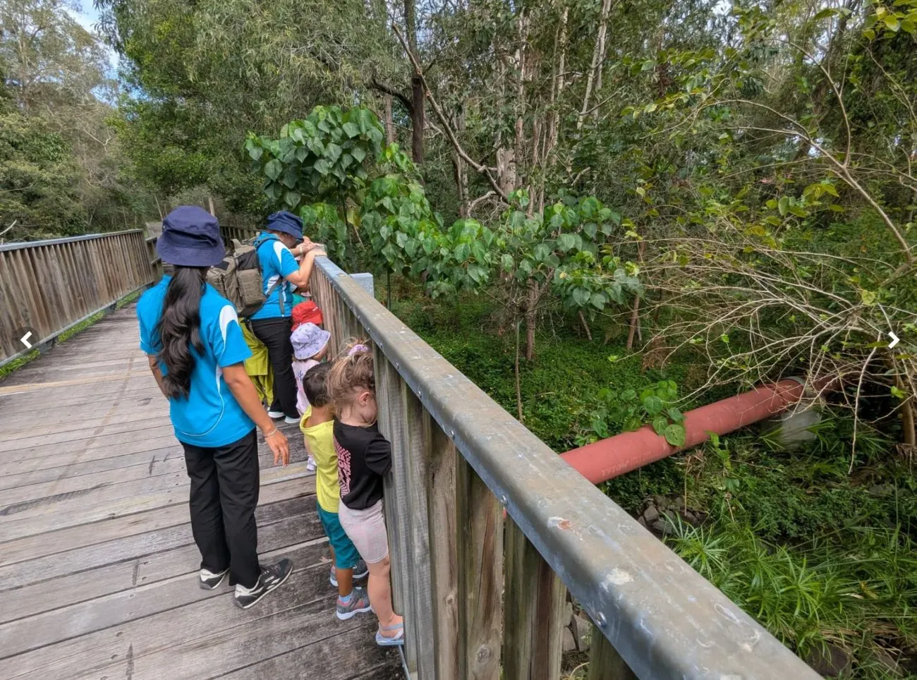 Children setting up a bush kitchen with bowls and graters at the base of a gum tree